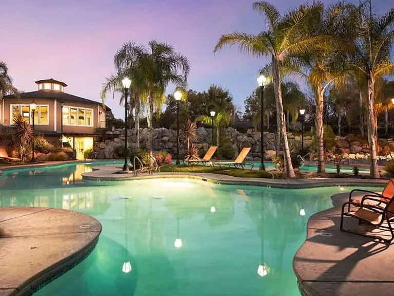 The Palms — Photo 1