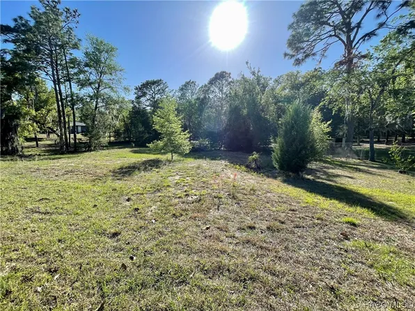 12460 S Aster Point, Floral City, FL 34436