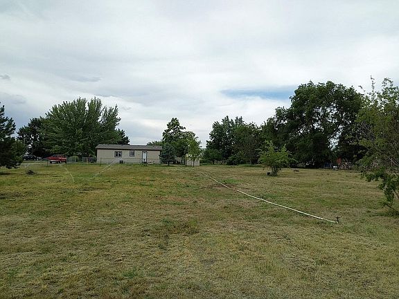 pasture