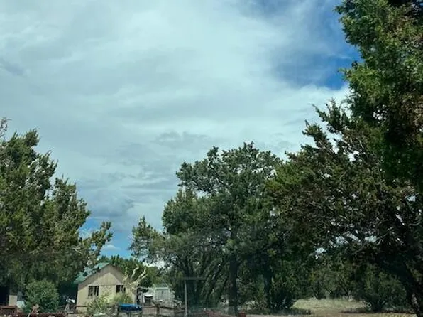 3 County Road 3311 N, Vernon, AZ 85940