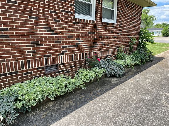 4th image of 1107 Lindell Blvd