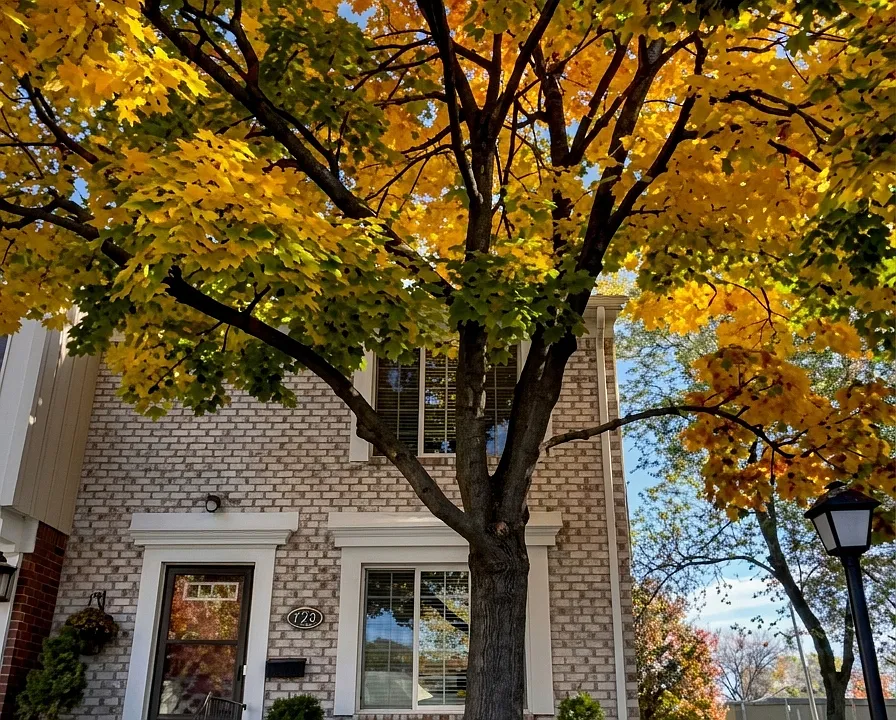 1872 Newporte Ct