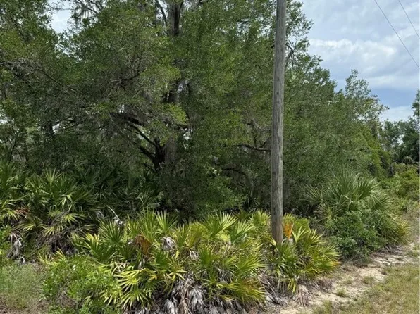 8150 N Downs Rd, Crystal River, FL 34428