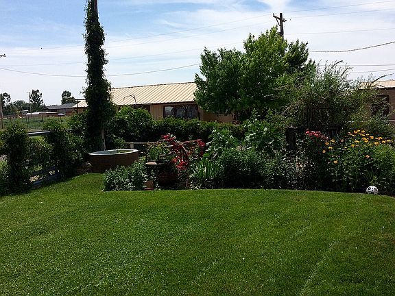 Back yard looking west