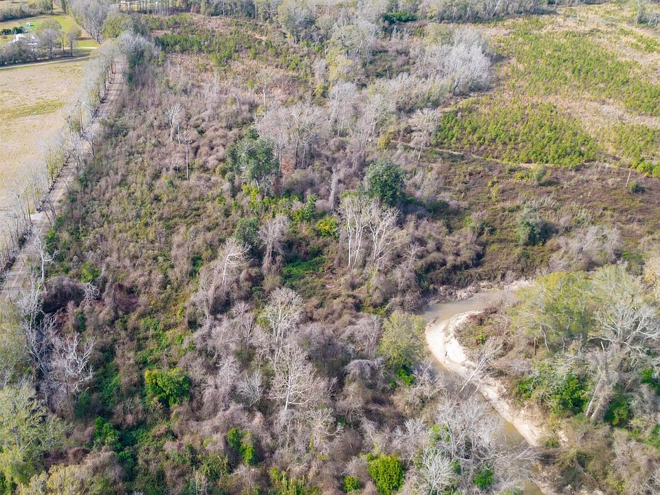 2nd image of Lemon Rd