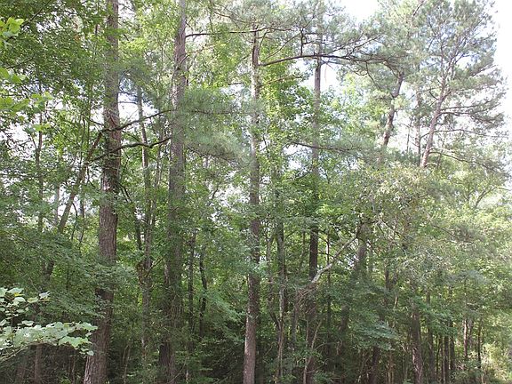 3rd image of Pid 11666 Barnum Loop