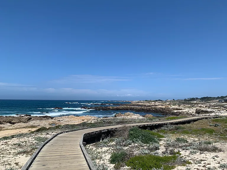 Asilomar Beach -2 mi away from unit