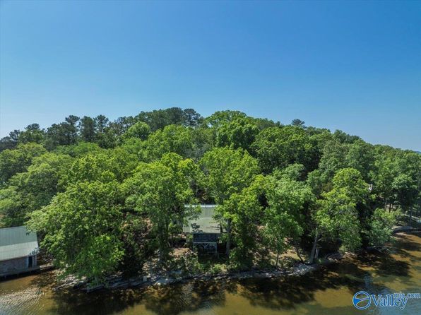 150 Stout Rd, Langston, AL 35755