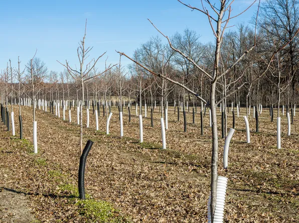 732 W Highway 6, Trenton, MO 64683