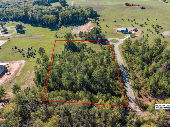 County Road 386 #D, Henderson, TX 75654