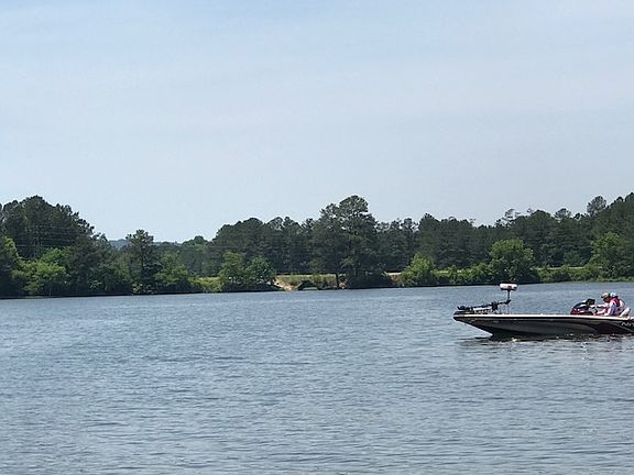 Cove View 