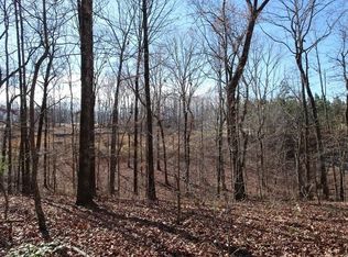541 Gold Rush Ct, Ball Ground, GA