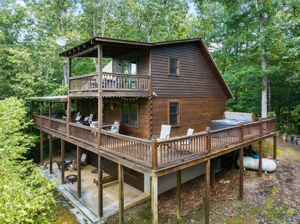 220 Lakota Ln, Mineral Bluff, GA 30559
