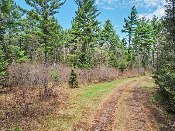 4th image of LOT 7 Deerskin Rd