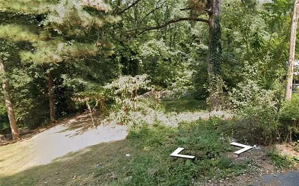 2319 Tiger Flowers Dr NW photo 1