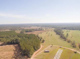 75 Golden Pine Rd, Perkinston, MS 39573