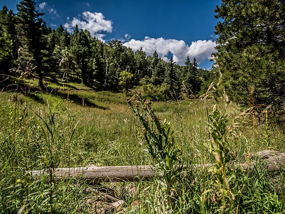 5th image of 160 Acres On County Road 48.8