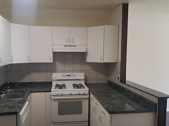 4th image of 1019 N Paulina St
