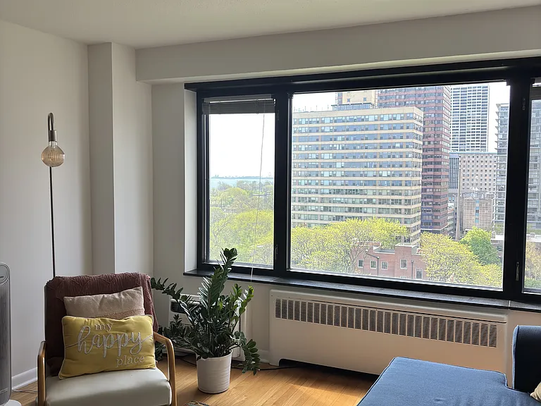 3100 N Lake Shore Dr #1204 — Photo 8