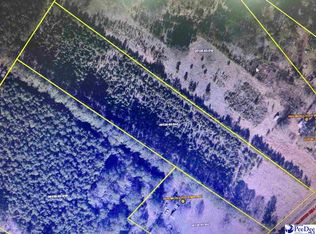 McAllister Mill Rd, Lake City, SC 29560