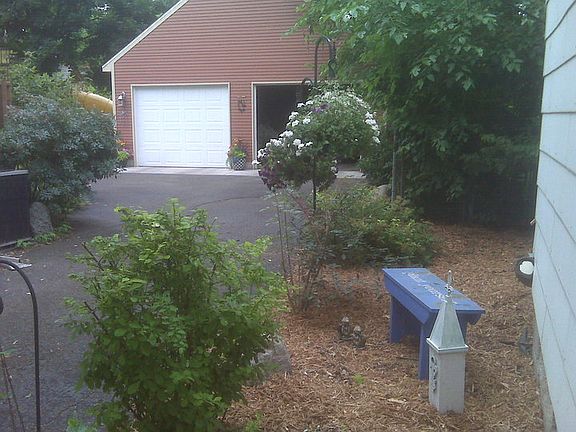 Bushes and flowers - back 