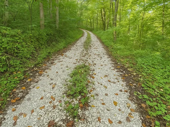 0 Nada Tunnel Rd, Stanton, KY 40380