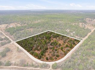 6199 W Peking Ct, Dunnellon, FL 34433