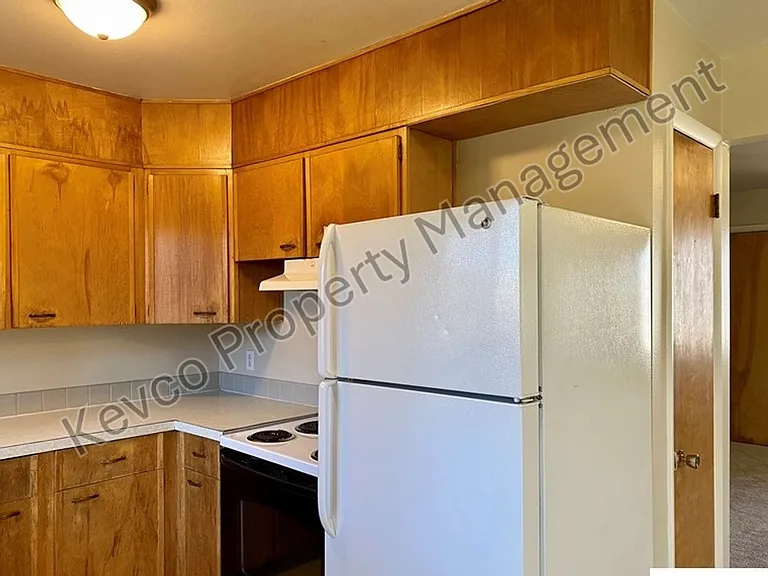 1101 Ponderosa Dr — Photo 37