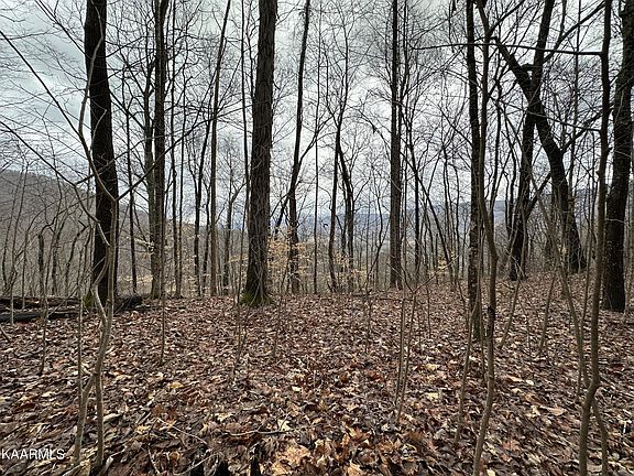 2nd image of Campbell Highlands Dr