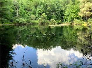177 Camp Rd #31, South New Berlin, NY 13843