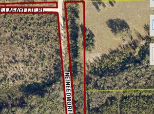 NE Needmore Rd, Lake City, FL 32055