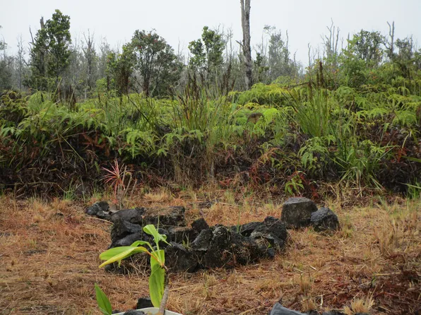 Omeka Rd Lot 54, Volcano, HI 96785
