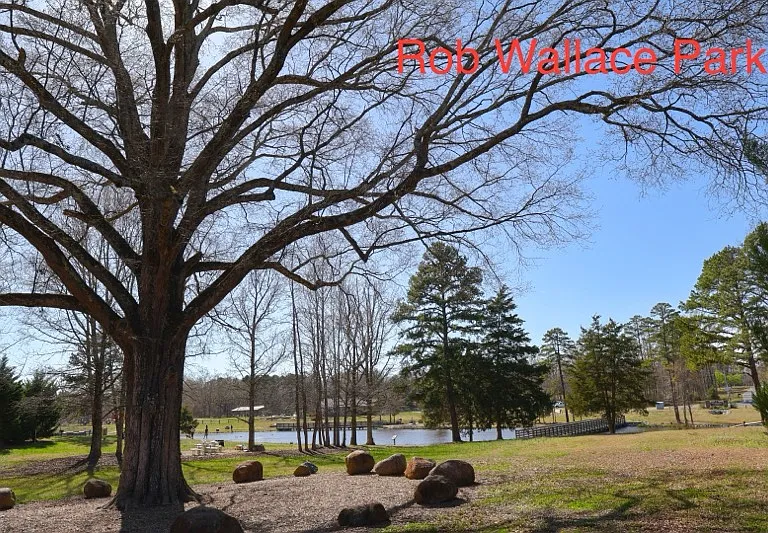 3390 Saddlebrook Dr — Photo 28