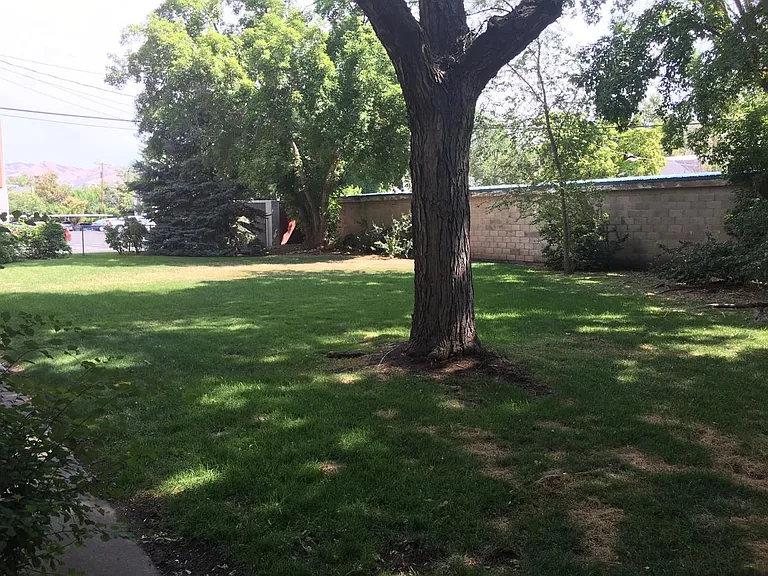 Private Back Yard