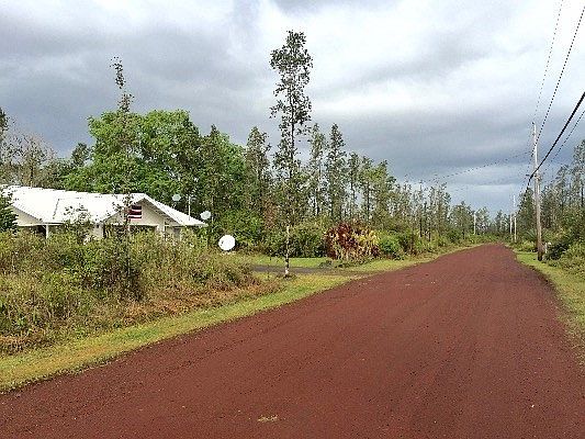 4th image of Tree Fern Dr Lot 20