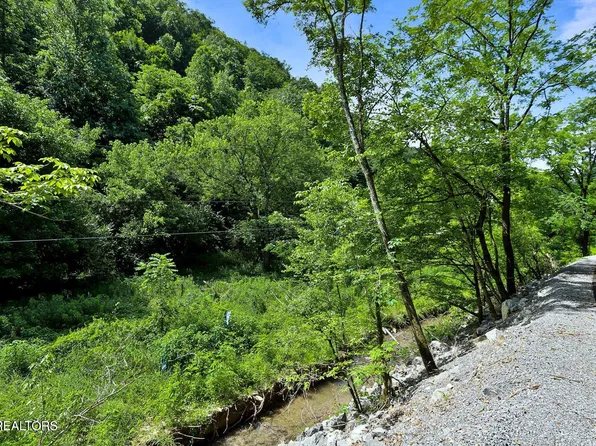 0 Caney Creek Rd, Pigeon Forge, TN 37863