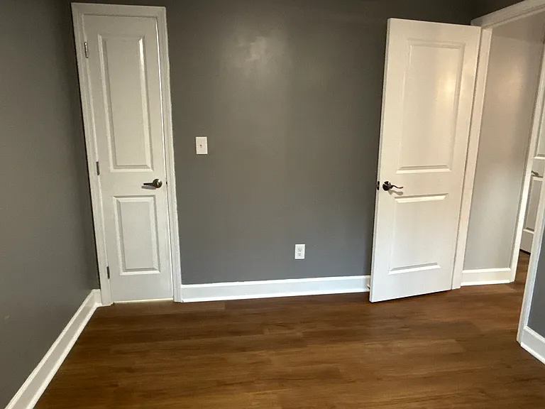 View of back bedrooms closet door and hallway entrance.