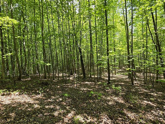 2nd image of LOT-15B Cluck Cove Rd
