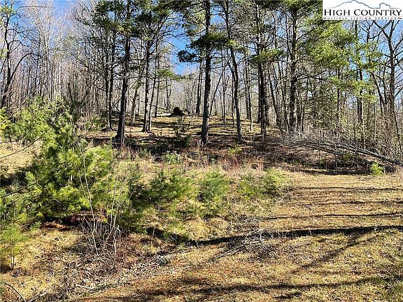 2nd image of TBD Lot 34 Falls Creek Parkway