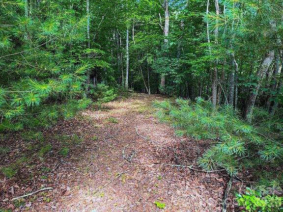 5th image of 724 Streamside Dr