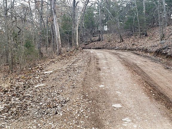 Road at top of property