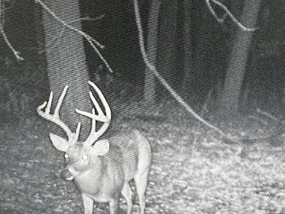 4th image of 121 Acres Rte E