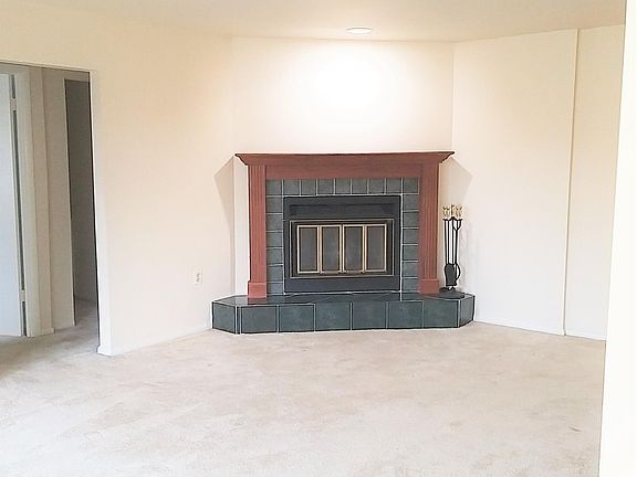 Wood burning fireplace