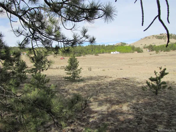 575 Falcon Road, Hartsel, CO 80449