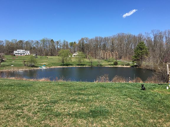 Pond in back yard