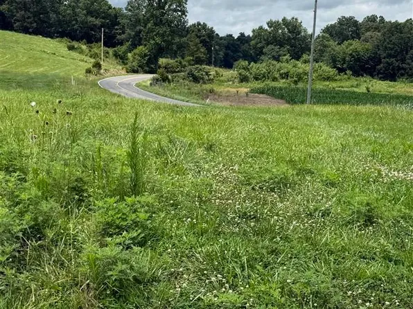 LOT 1 Fountain Run Rd, Gamaliel, KY 42140