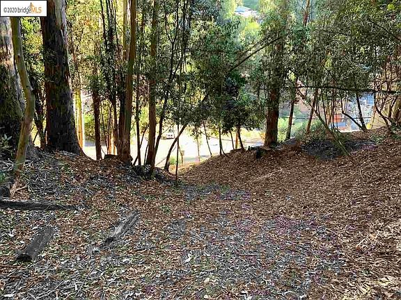 3rd image of 6698 Moore Dr