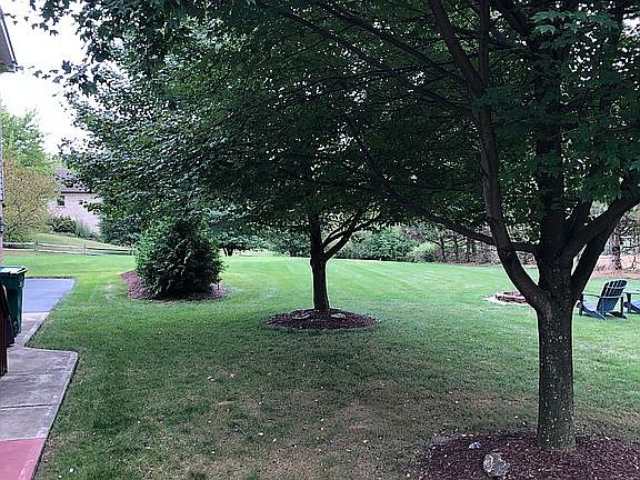 Shady backyard