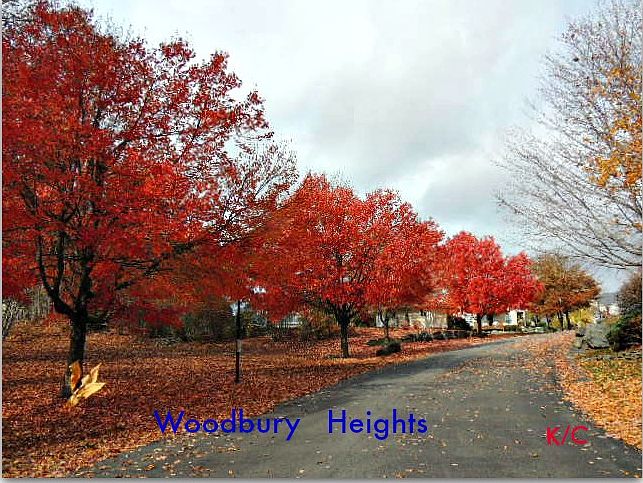 1st image of 1202 Honey Locust Ct