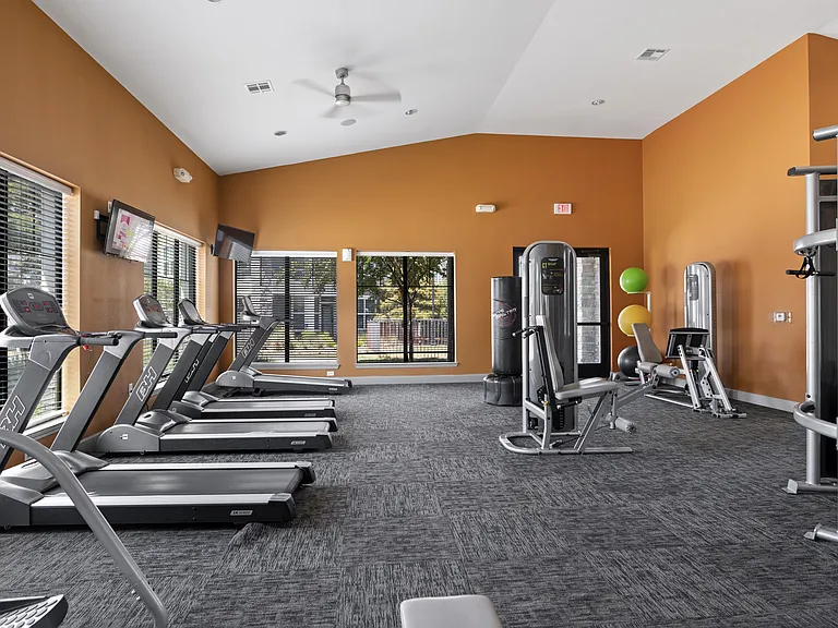 SYNC at Spring Cypress — Photo 14